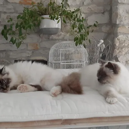 Gæstehus L'instant Bleu