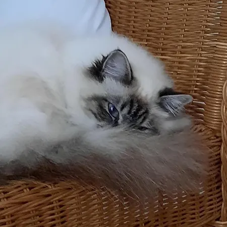 L'instant Bleu بيت ضيافة