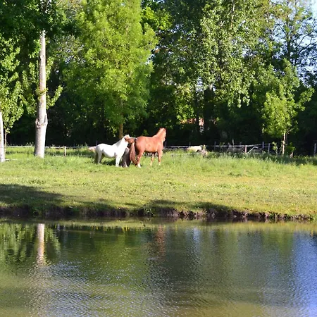 L'instant Bleu 3* Marans (Charente-Maritime)