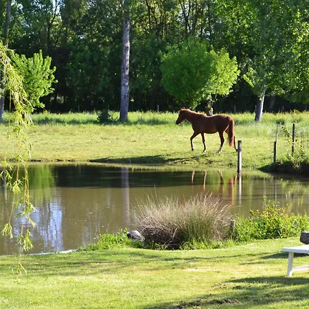 L'instant Bleu بيت ضيافة
