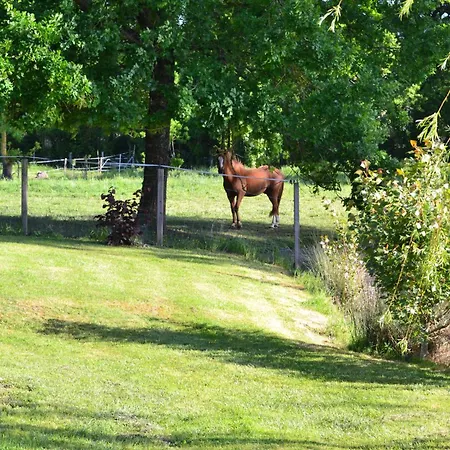 Gæstehus L'instant Bleu