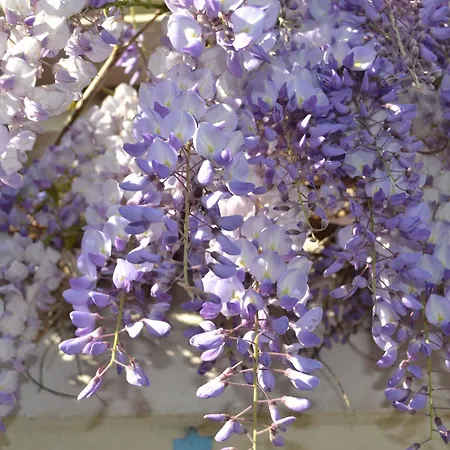 Gæstehus L'instant Bleu Marans (Charente-Maritime)