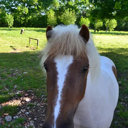 L'instant Bleu بيت ضيافة