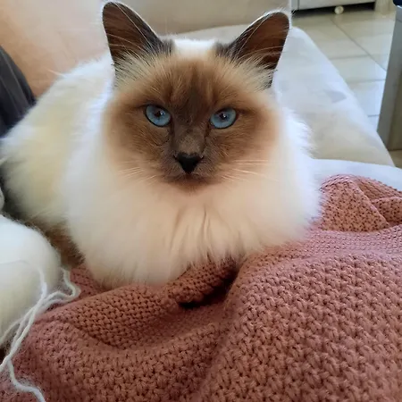 بيت ضيافة L'instant Bleu مارانس