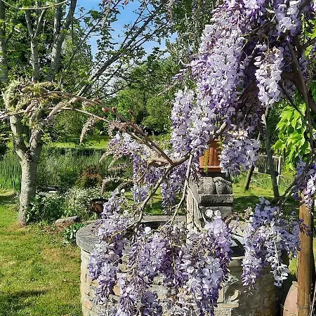 بيت ضيافة L'instant Bleu مارانس