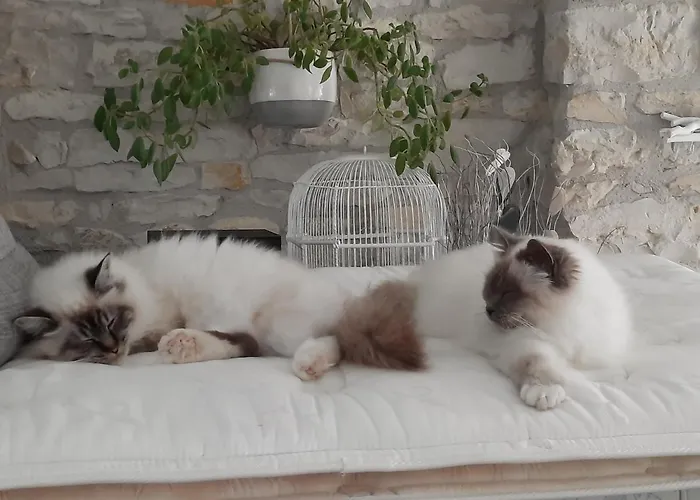 Casa de hóspedes L'instant Bleu