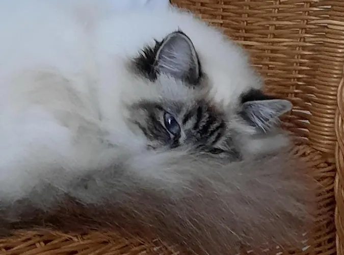 L'instant Bleu Casa de hóspedes