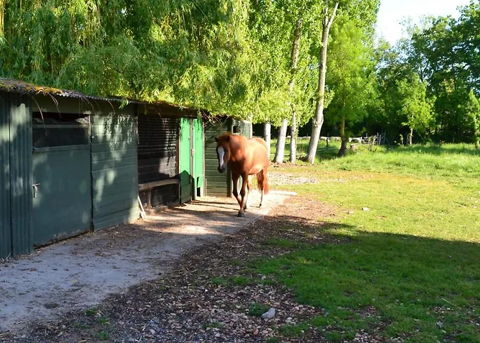 L'instant Bleu 3* Marans (Charente-Maritime)
