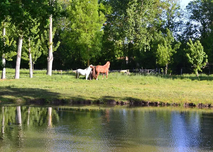 L'instant Bleu 3* Marans (Charente-Maritime)
