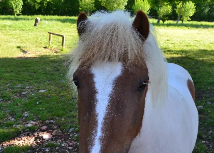 L'instant Bleu Casa de hóspedes