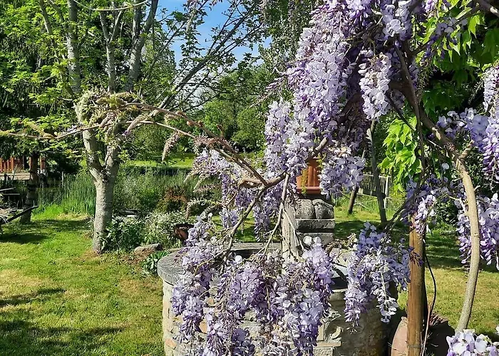 Casa de hóspedes L'instant Bleu Marans (Charente-Maritime)